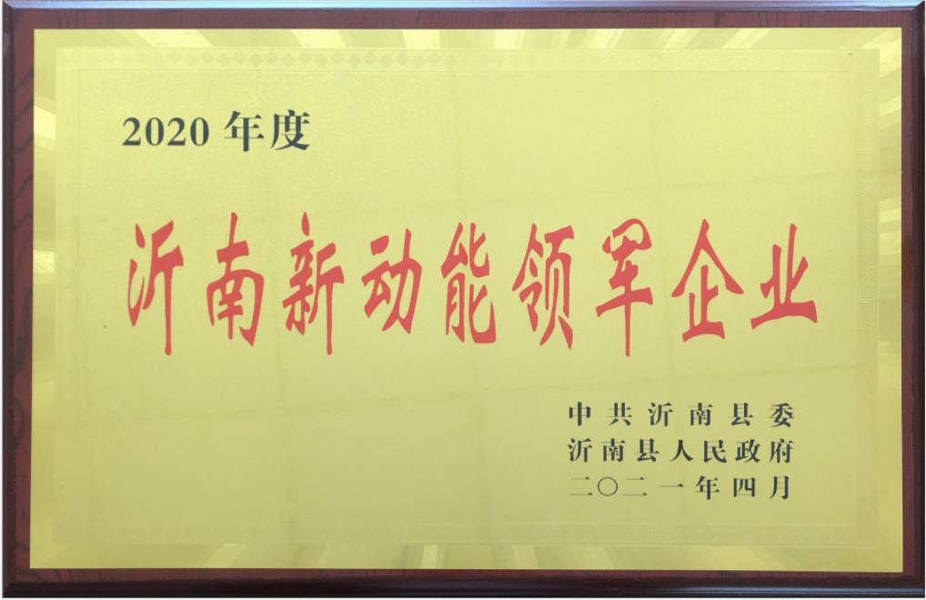 2020年度沂南新動(dòng)能領(lǐng)軍企業(yè)
